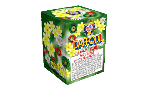 Daffodil 16 Shots