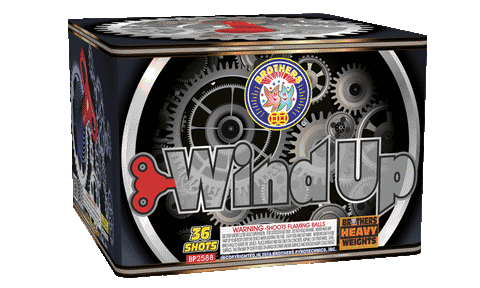 WIND UP 36 SHOTS