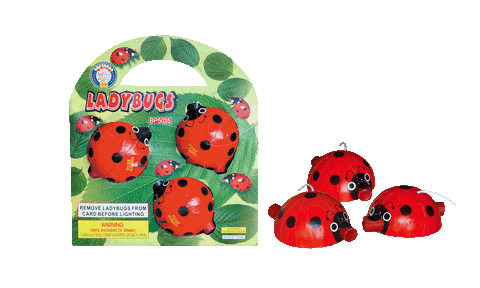 LADYBUGS