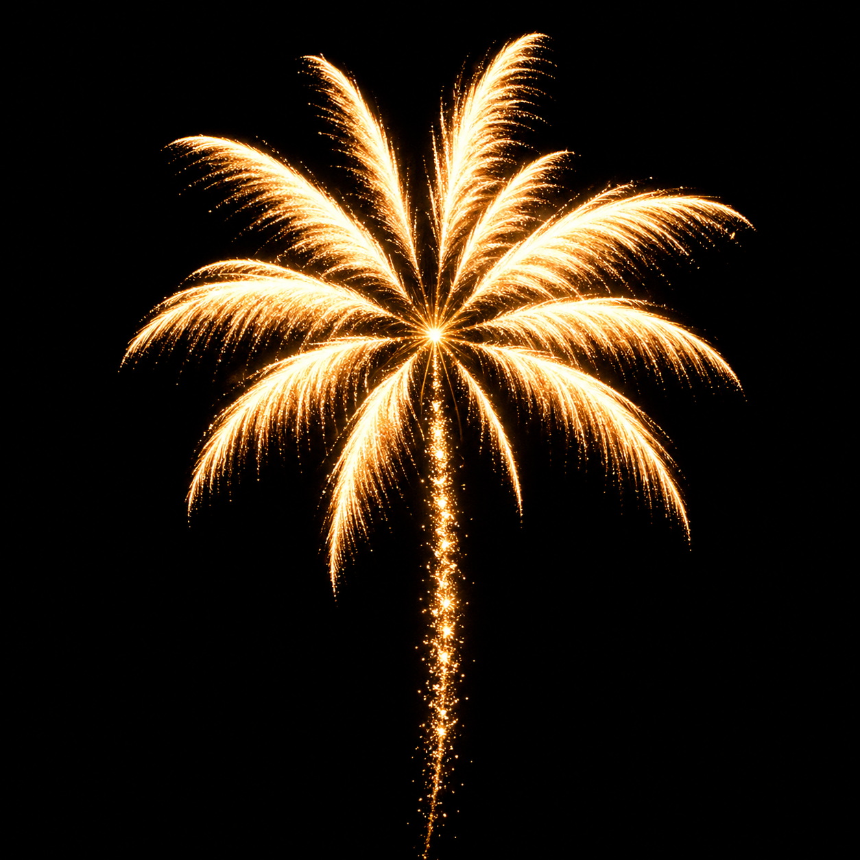 Palm Tree